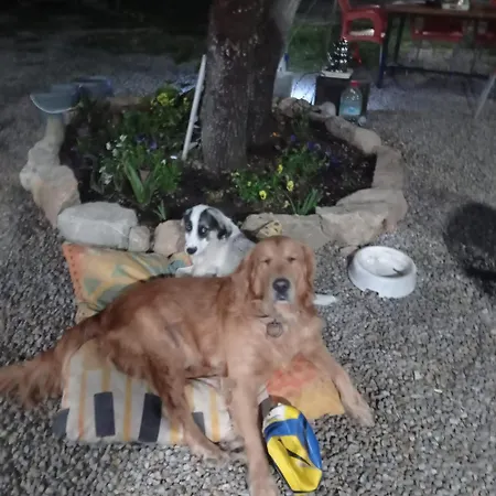 Eses Camping Bungalov Οργανωμένο κάμπινγκ