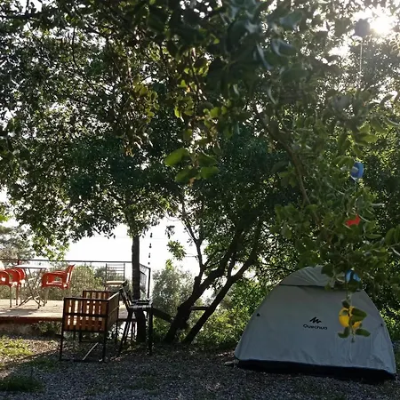 Eses Camping Bungalov *