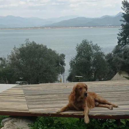 Οργανωμένο κάμπινγκ Eses Camping Bungalov