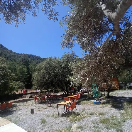 Eses Camping Bungalov *